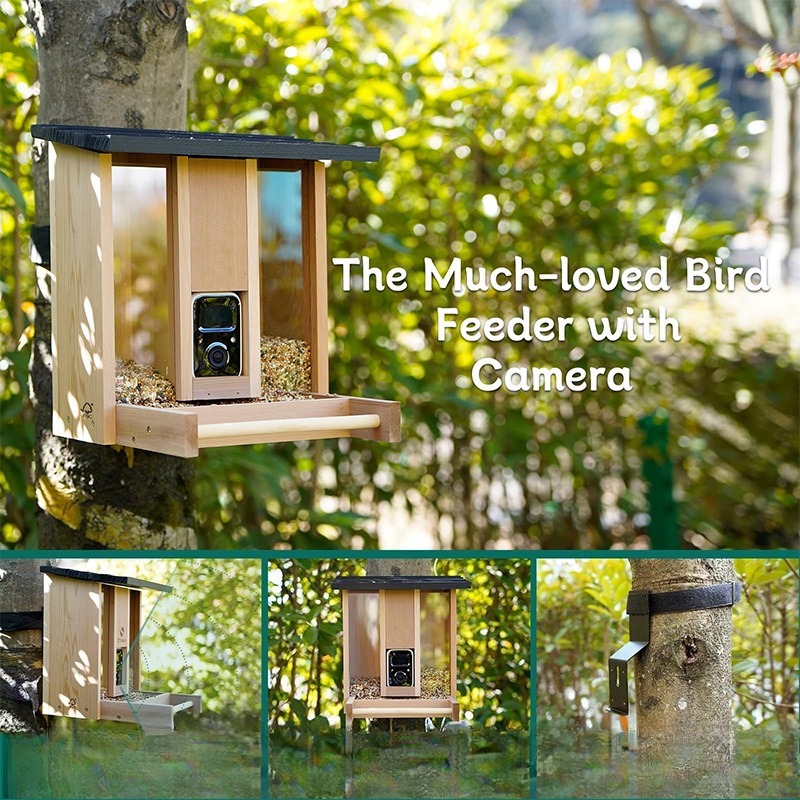 AI intelligent bird feeder wit – обзор и цена Gardening Tools With Definition