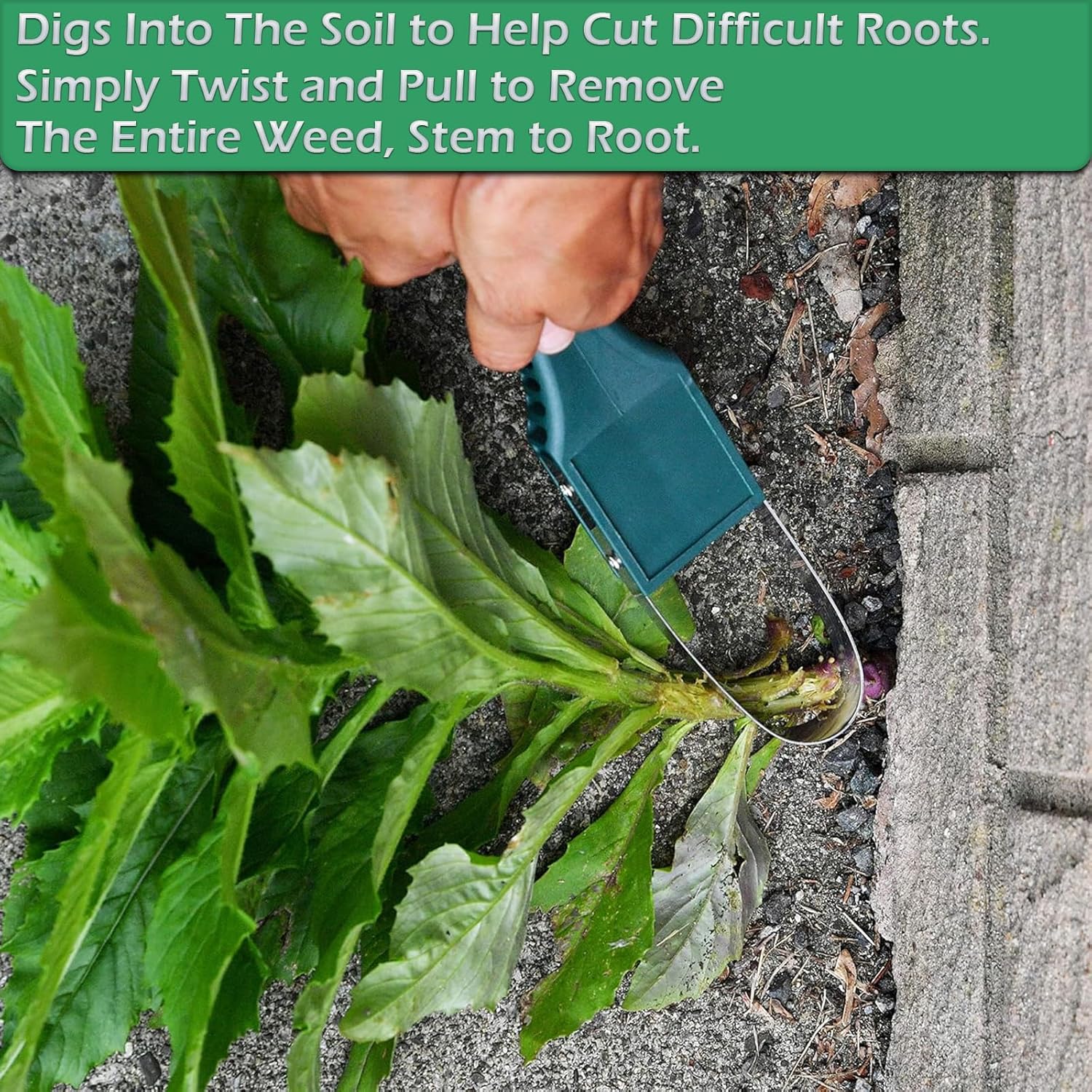 Weed Puller Tool for Gardening – обзор и цена Gardening Tools Images