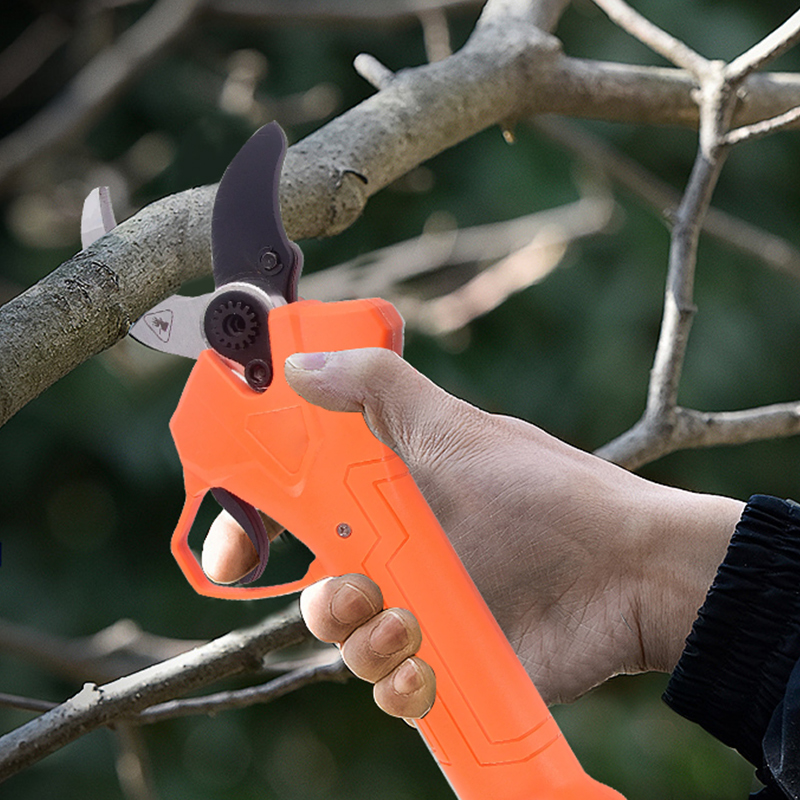 Hot Sale 42V Bodypack Electric – обзор и цена Gardening Tools For Sale