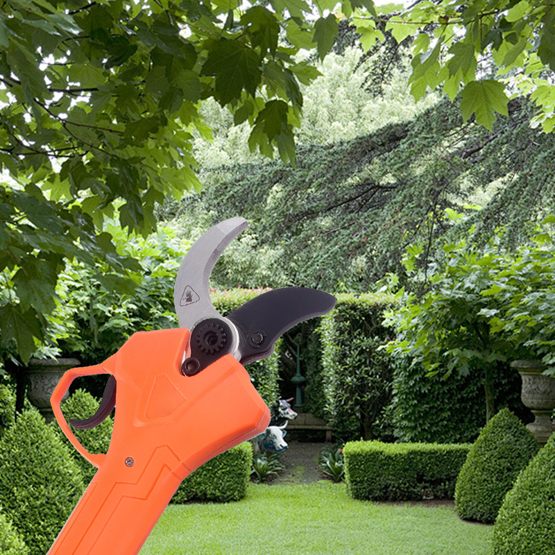 Hot Sale 42V Bodypack Electric – обзор и цена Gardening Tools For Sale
