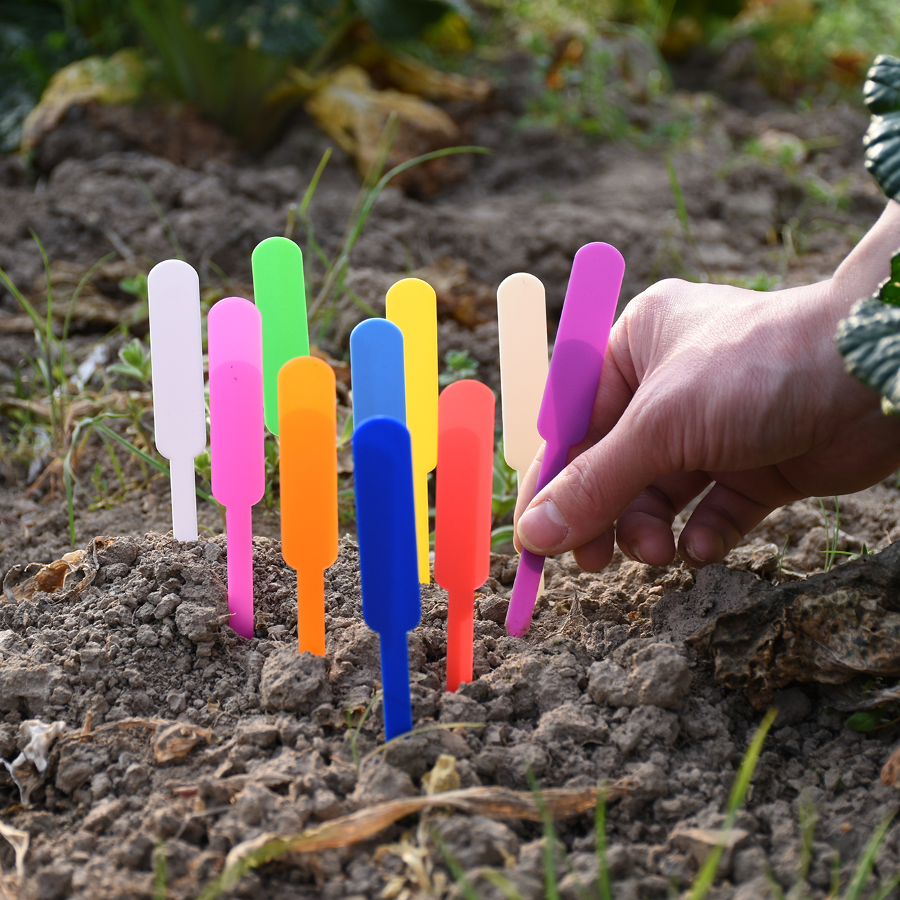 50PCS Waterproof Plastic Plant – обзор и цена Gardening Tool Diy