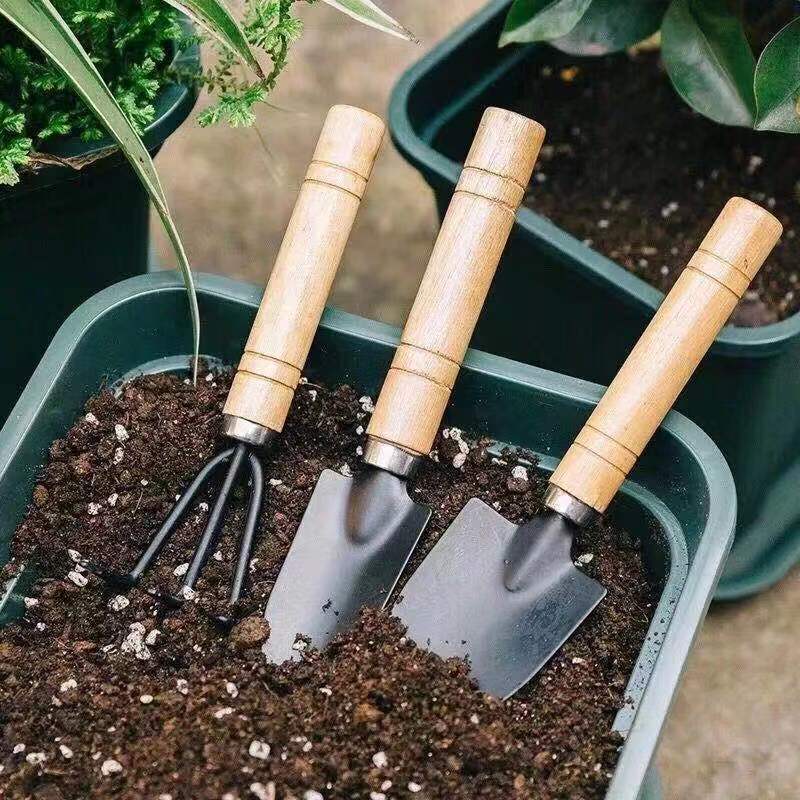 3PC/1Set Mini Gardening Tools  – обзор и цена Gardening Tools Spade