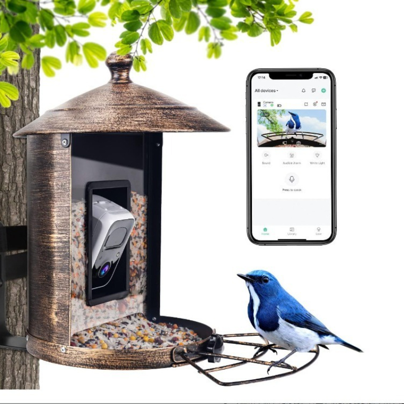 AI intelligent bird feeder wit – обзор и цена Gardening Tools With Definition
