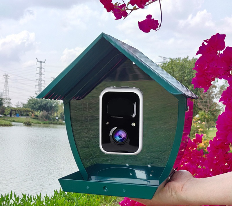 AI intelligent bird feeder wit – обзор и цена Gardening Tools With Definition