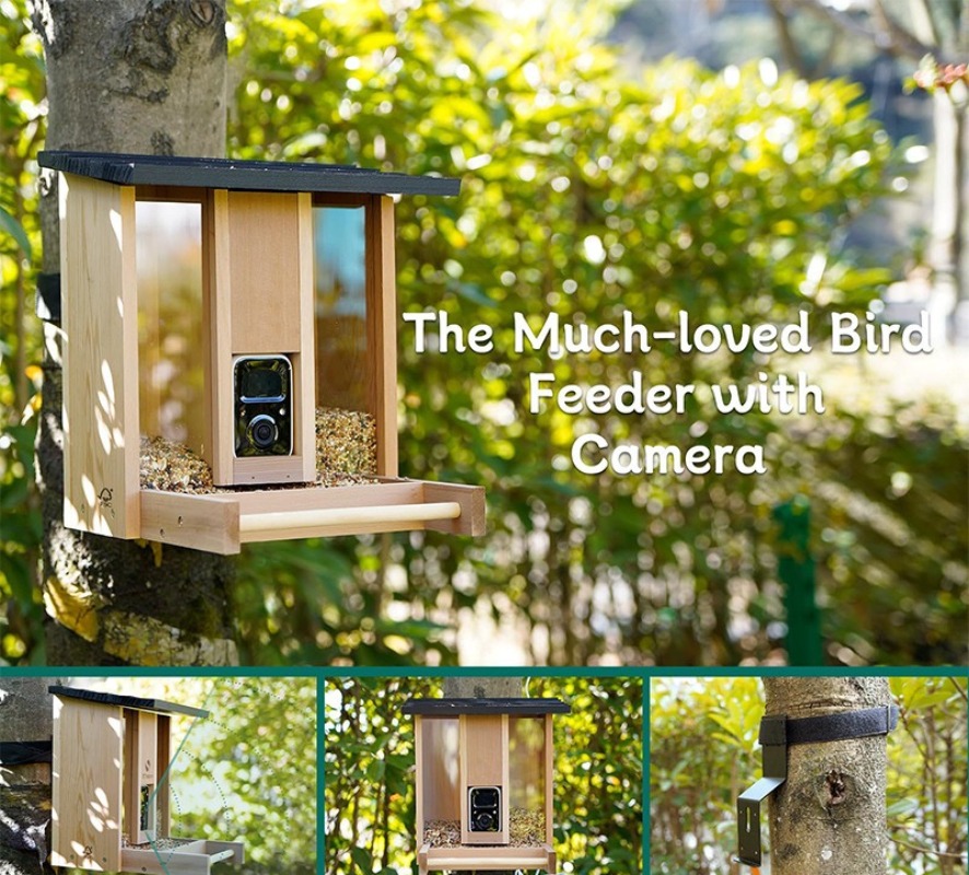 AI intelligent bird feeder wit – обзор и цена Gardening Tools With Definition