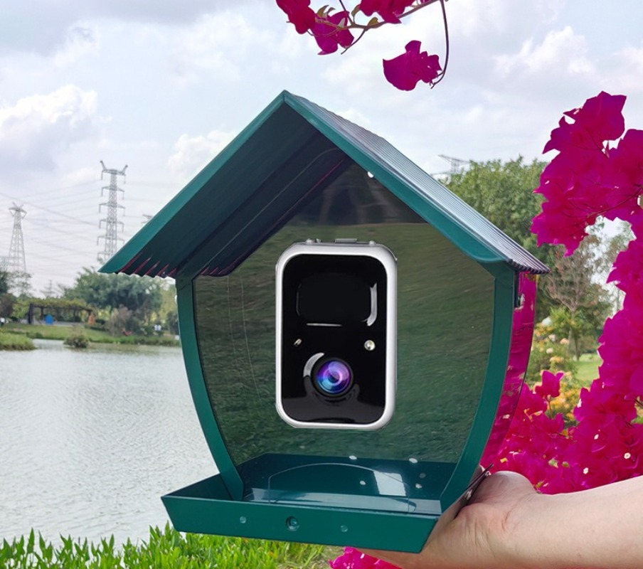 AI intelligent bird feeder wit – обзор и цена Gardening Tools With Definition