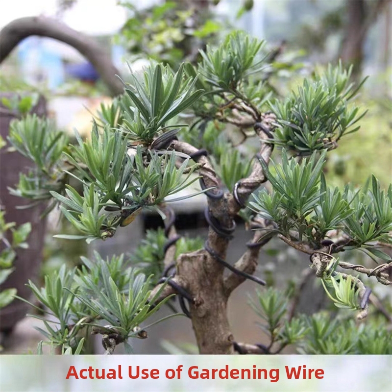 1.5MM Bonsai Wires Aluminum Bo – обзор и цена Gardening Tool Diy