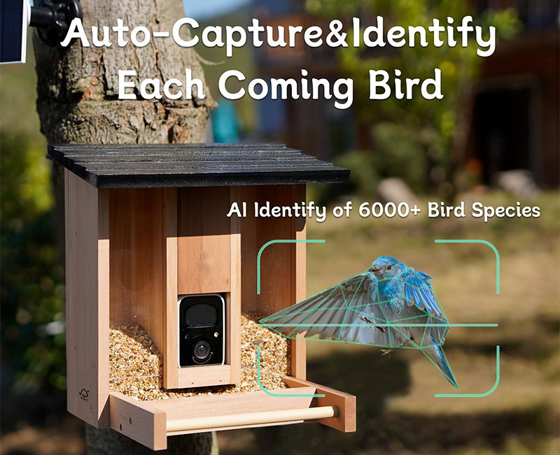 Bamboo wood intelligent bird f – обзор и цена Gardening Tools With Definition